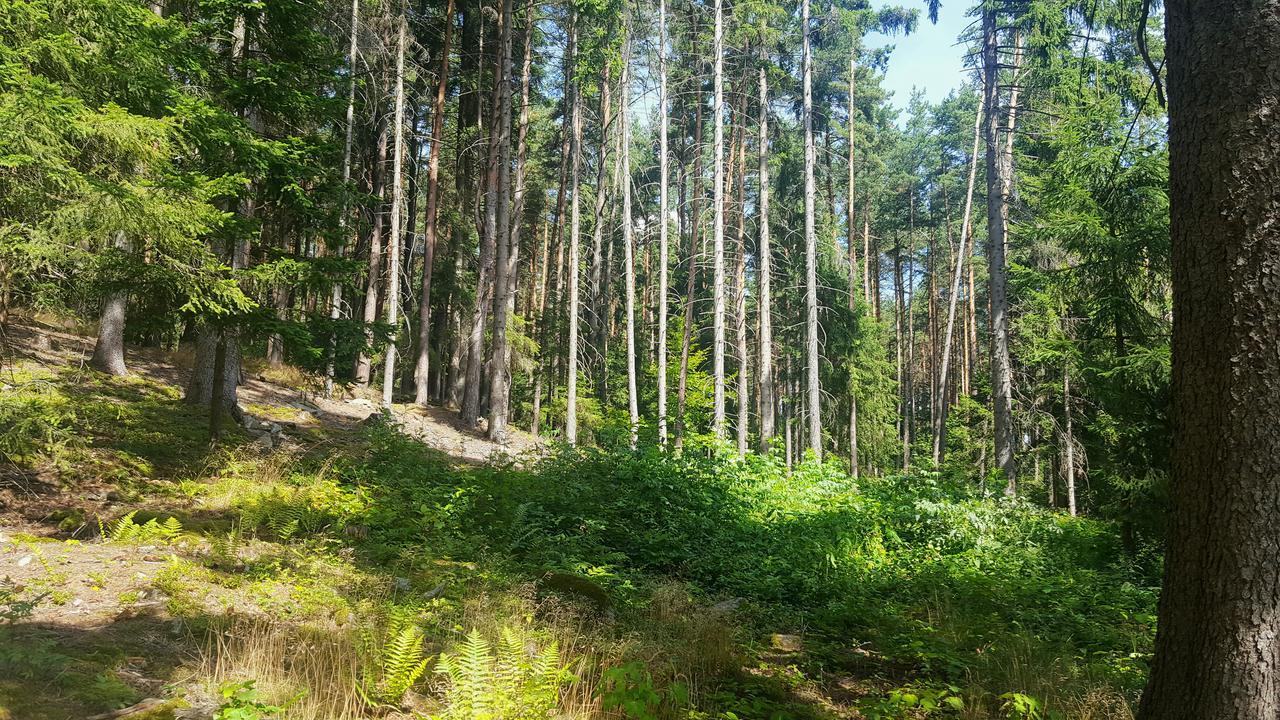 Malebna Chalupa U Javorniku Na Sumave Vacov ภายนอก รูปภาพ